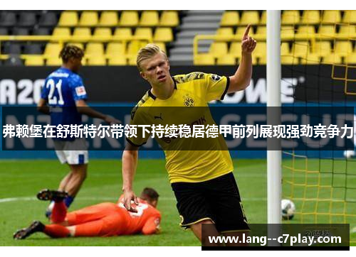 弗赖堡在舒斯特尔带领下持续稳居德甲前列展现强劲竞争力